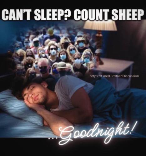 IMG_20240708_044336_773