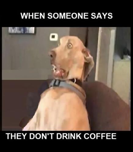 451454287_327398100443405_3598131385624355315_n