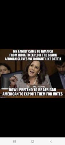 Screenshot_20240729_213609_Wimkin Free Speech Social Media