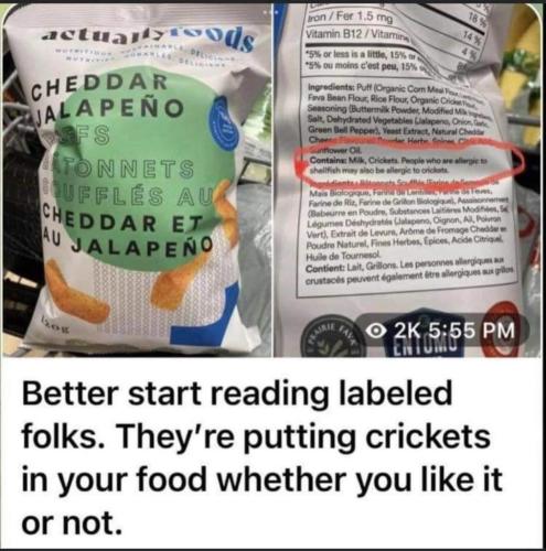 5A05DD38-80AC-4C98-95DA-3457971486A1