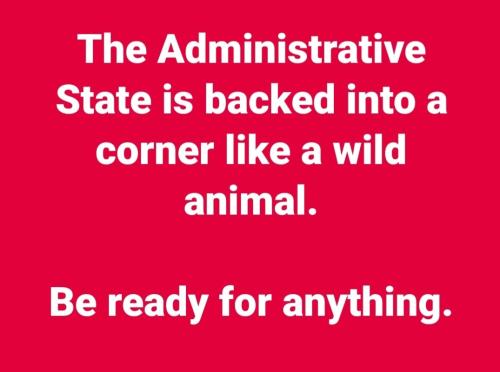 f1a98891-9469-4a49-82e4-6d63017915a4