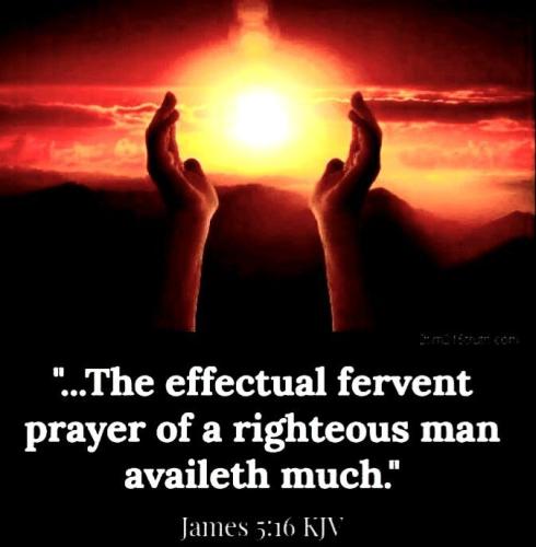 IMG_20240710_224353_711