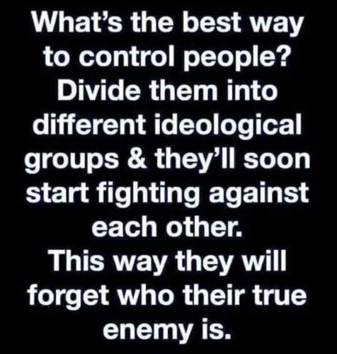 photo_2024-07-18_11-43-50