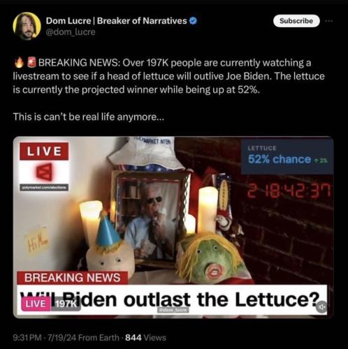 photo_2024-07-19_19-08-40