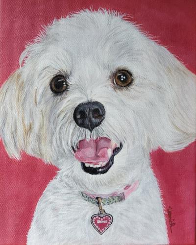 Screenshot_20231001_172552_Photos