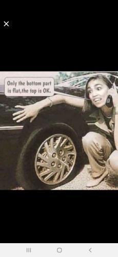 Screenshot_20240420-130101_Wimkin Free Speech Social Media