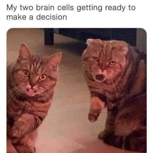 093cb349-da79-4be0-8872-4c901333a293