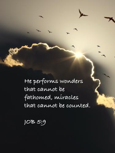 FAITH - Job 5.9