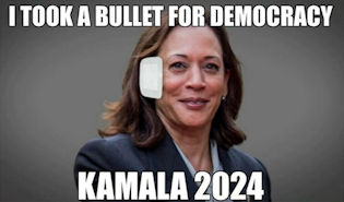 kamala harris385