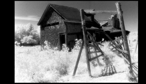 IR-24-1-00-CANADIAN HOMESTEAD-1