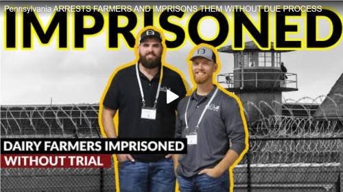 Pennsylvania Bullshit screenshot