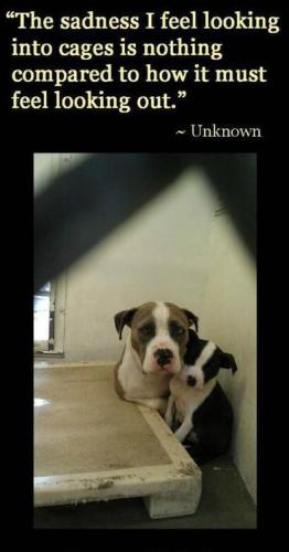430642a91706ed4b0779e80d1836d802--sadness-so-sad