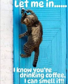 456288019_122109342920398343_3787761049110113450_n