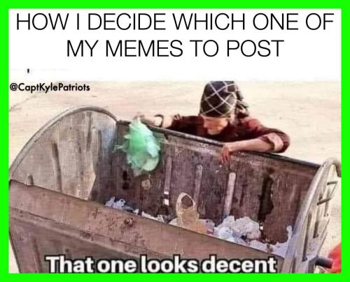 IMG_20240803_032909_836