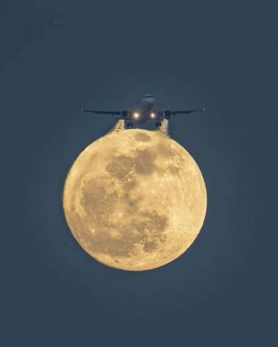 8a8bbc1f-824b-4f29-8c44-4f62483bda17