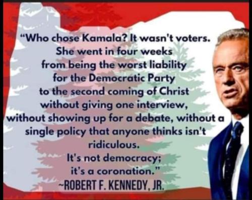 FB_IMG_1724442199240