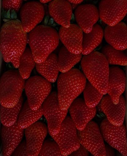 Tumblr_l_5804661848409