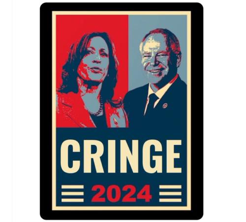 234aa556-97b5-496f-af4d-885a18ff1812_1152x1042