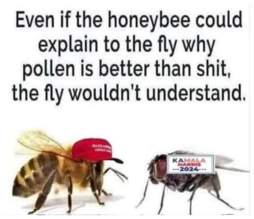 BBAED2FA-5E66-409D-BC8F-876CC949BBE0