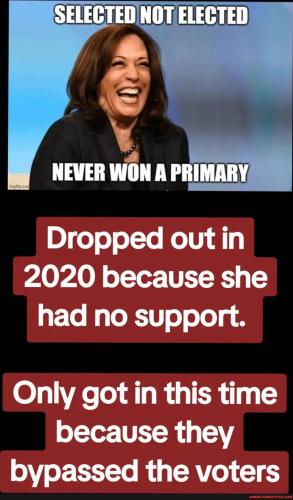 8d033152538af3634e3df63bcf4c79ce1d7831751cb9061737c1de691ddb6aeb_1