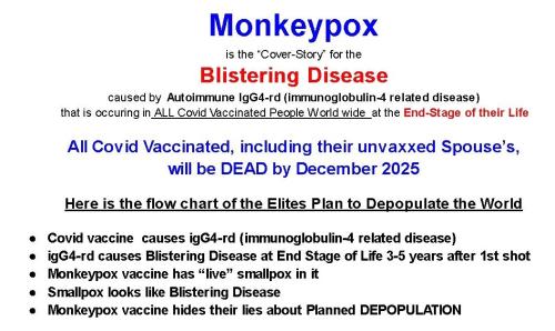 IMG_20240822_155404_401