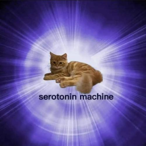 20240813_114509