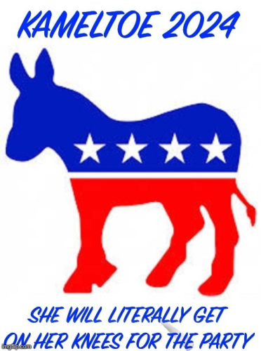 image_2024-08-01_063706627