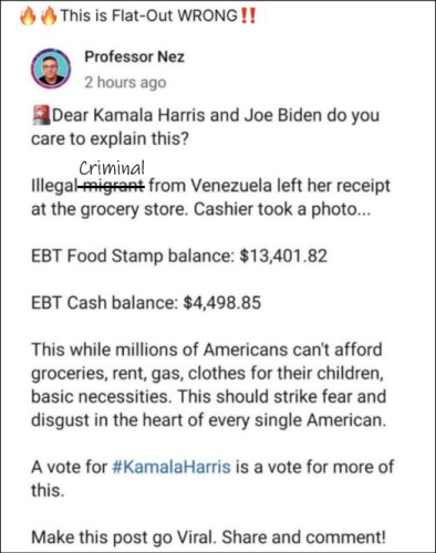 illegal criminal_straight up bullshit