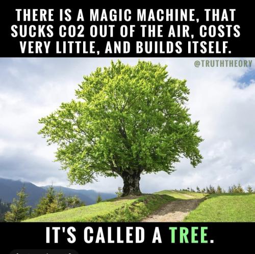 Screenshot_20240807_041637_Facebook