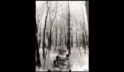 IR-1-3-16 AUDO WALK-1