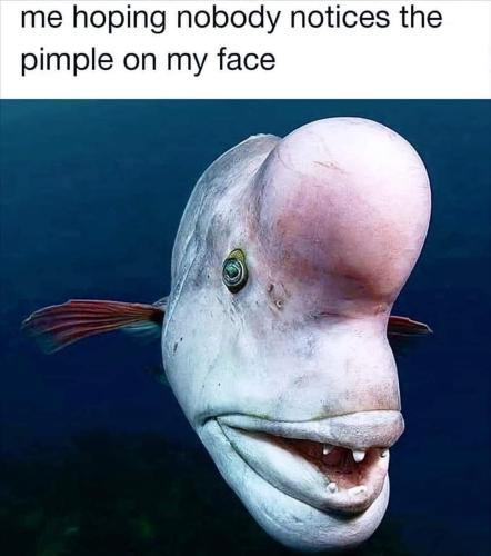 FB_IMG_1723269991336