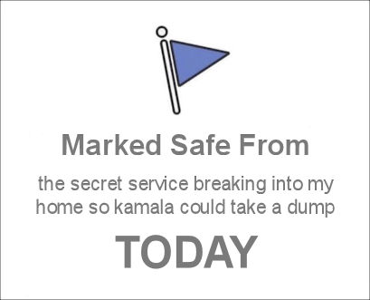 secret service breaking into my home