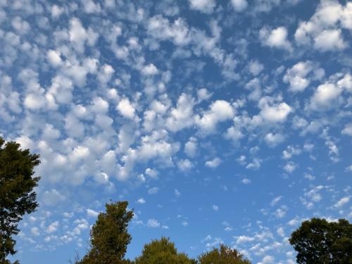 0FFB3831-B15C-4D6C-920D-536A205ED714