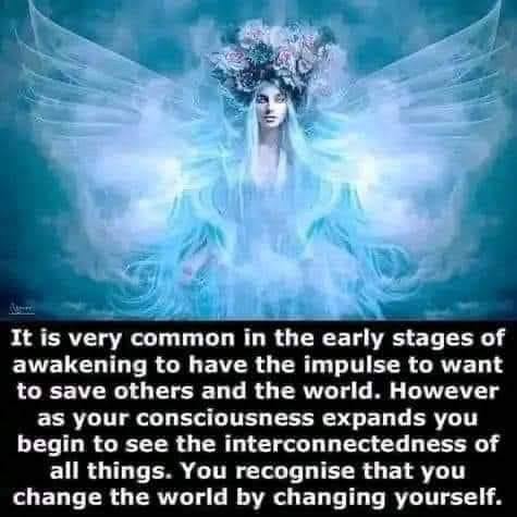 IMG_20240810_114810_145