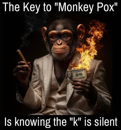 photo_2024-08-15_16-58-12