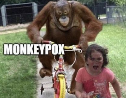 Screenshot 2024-08-16 094402