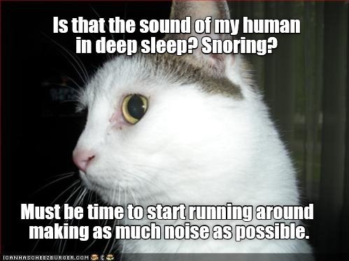 its-that-time-of-the-night-again