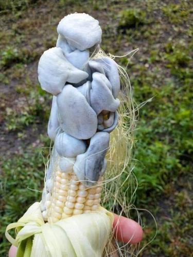 e4a3af31-8b2c-4560-86ea-383e2a7494b2