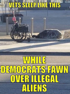 illegal immigration398