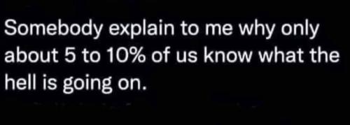 photo_2024-08-26_13-19-20