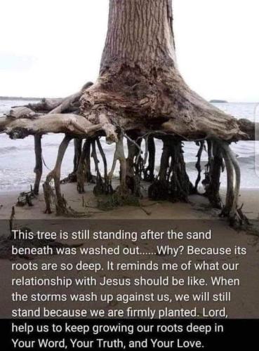 1ced94e4-034b-4209-a315-87ad98fde48b