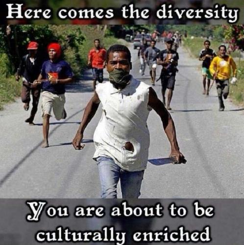 xephula_86c2de95d282e101f7fbbe1f7a821180