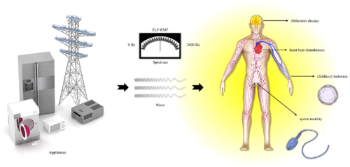 5g EMF Effects on the body
