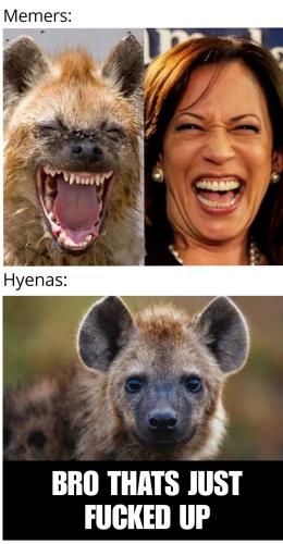 413c473b-7f60-4f25-a24f-59cbf36ca162