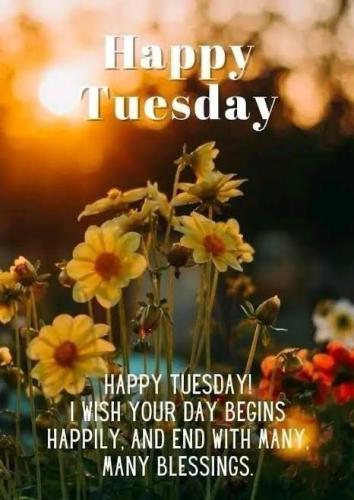 Happy Tuesday 4