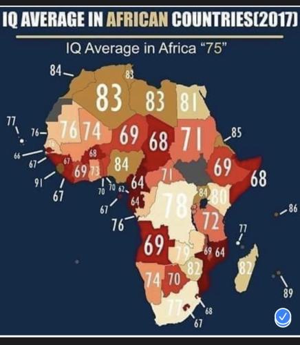 IQ in African countries