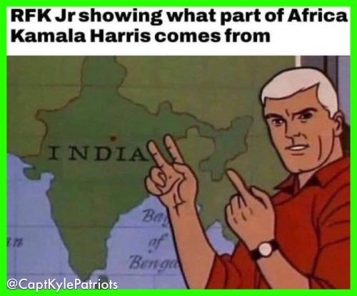 IMG_20240830_145135_052