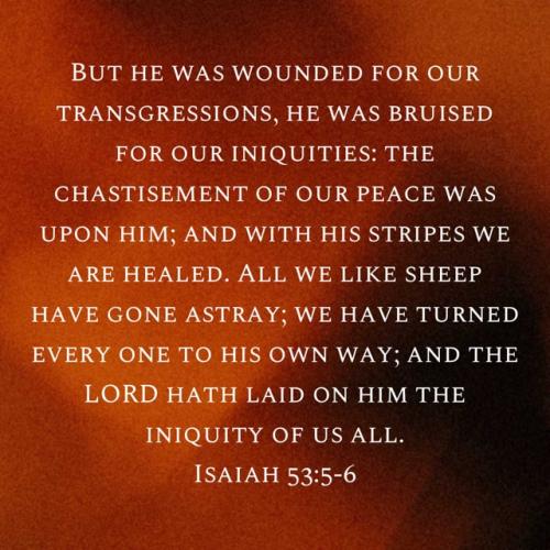 5fac5bb5-d3a0-46d0-8cdf-8004833658ce