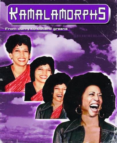 image_73F85A36-7EE5-49D4-8A8E-241128DFB50E