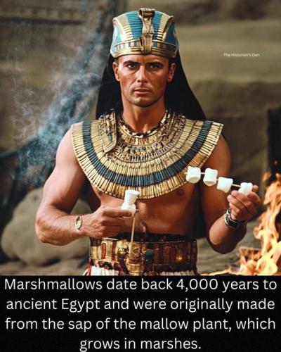 457097716_451962351212112_3984511100961389264_n